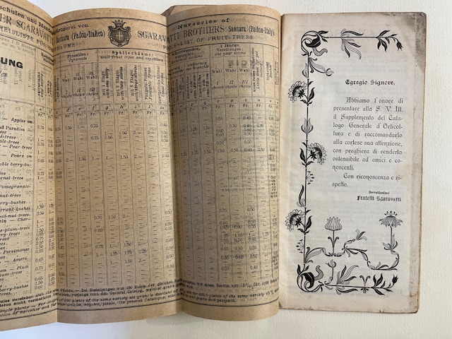 Fratelli Sgaravatti, Saonara (Padova). Supplemento al Catalogo generale 1901/1902